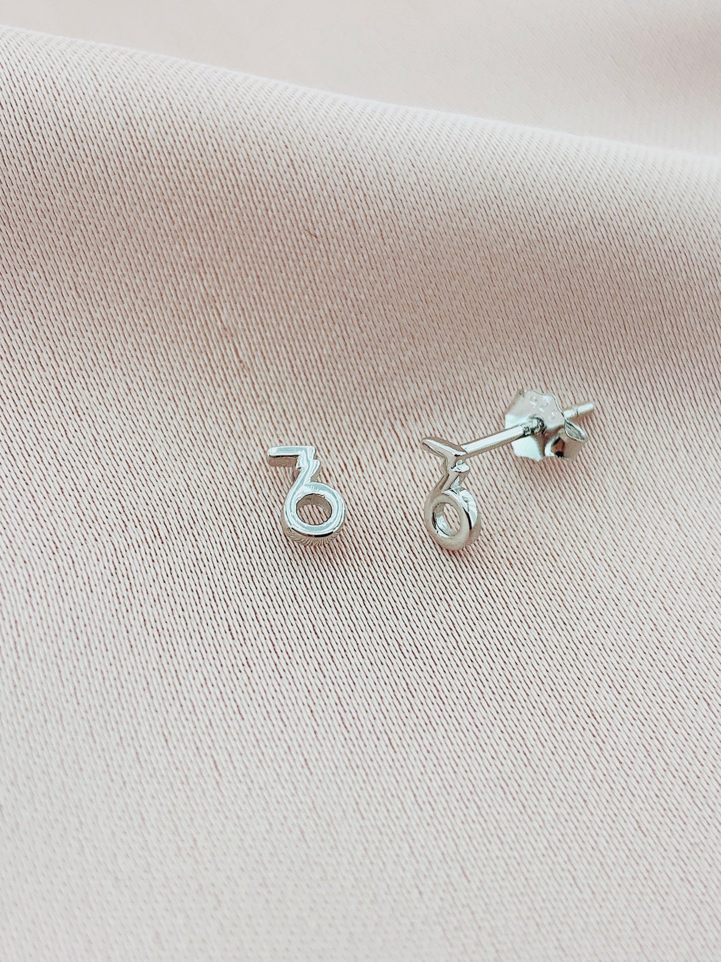 925 Silver Capricornus Stud Constellation Earring